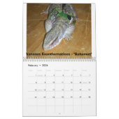 12 Monate Monitoren Kalender (Feb 2026)