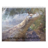 12 Monate Monitoren Kalender (Titelbild)