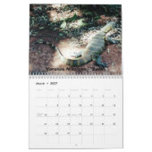 12 Monate Monitoren Kalender (Mär 2027)
