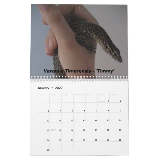 12 Monate Monitoren Kalender (Jan 2027)
