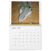 12 Monate Monitoren Kalender (Feb 2027)