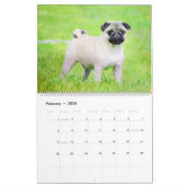 12 Monate Niedlicher Mops Hunde Haustiere Wasserfa Kalender (Feb 2026)