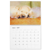 12 Monate Niedlicher Mops Hunde Haustiere Wasserfa Kalender (Mär 2027)