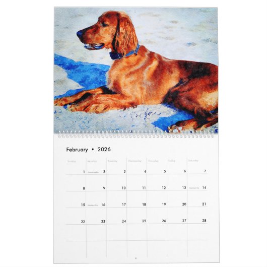 12 Monate Red Irish Setter Dog Aquarellmalerei Kalender (Feb 2026)
