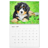 12 Monate Regal Berner Bergsee-Zauber im Val Piora Kalender (Mär 2027)