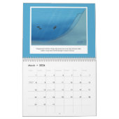 12 Monate Schmutz Kalender (Mär 2026)