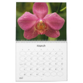 12 Monate schöne Orchideen Kalender (Mär 2027)