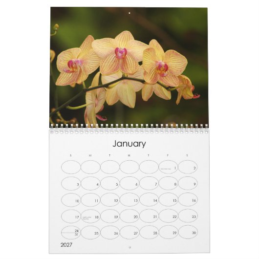 12 Monate schöne Orchideen Kalender (Jan 2027)