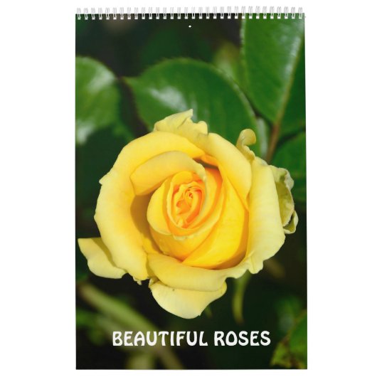 12 Monate Schöne Rose Kalender (Titelbild)