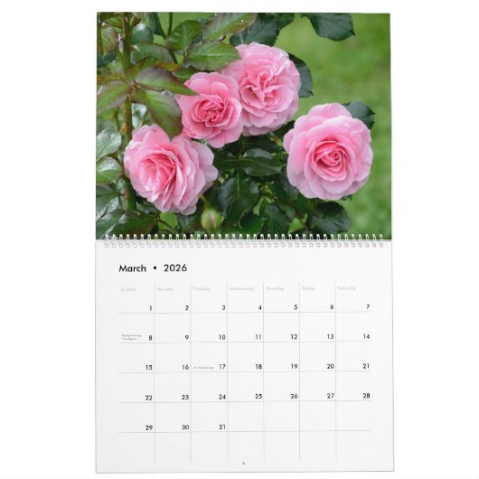 12 Monate Schöne Rose Kalender (Mär 2026)