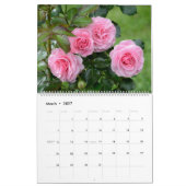 12 Monate Schöne Rose Kalender (Mär 2027)