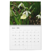 12 Monate schöne Schmetterlinge Kalender (Mär 2026)