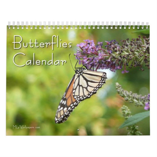 12 Monate schöne Schmetterlinge Kalender (Titelbild)
