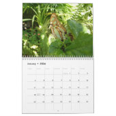 12 Monate schöne Schmetterlinge Kalender (Jan 2026)