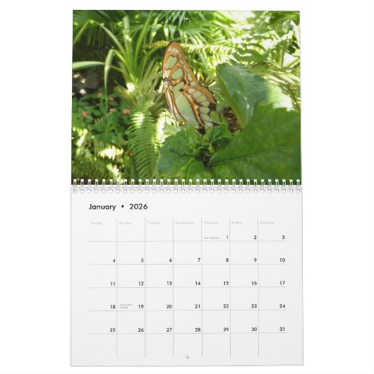 12 Monate schöne Schmetterlinge Kalender (Jan 2026)