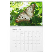 12 Monate schöne Schmetterlinge Kalender (Feb 2027)