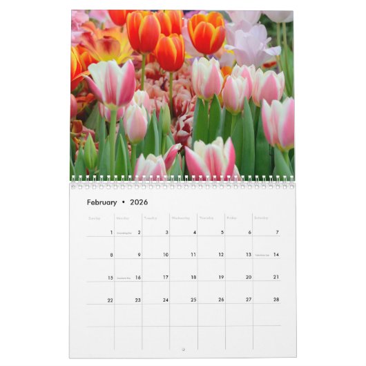 12 Monate Schöne Tulips (#2) Kalender (Feb 2026)