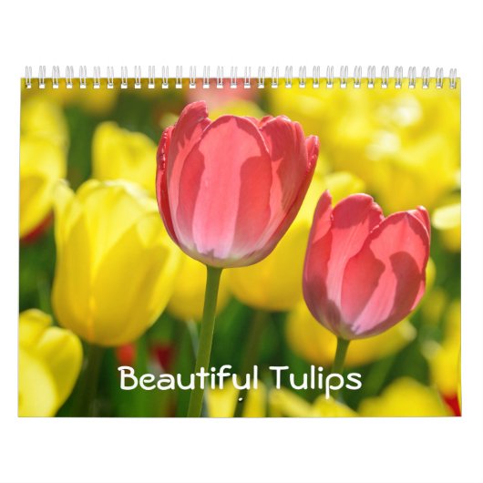 12 Monate Schöne Tulips (#2) Kalender (Titelbild)