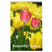 12 Monate Schöne Tulips (#2) Kalender (Titelbild)