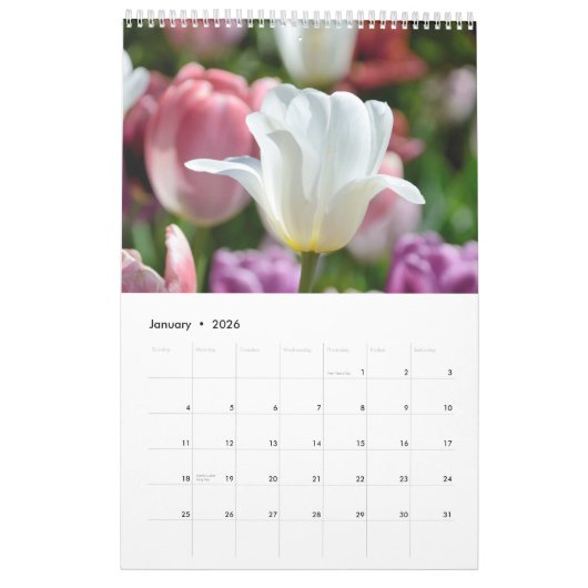12 Monate Schöne Tulips (#2) Kalender (Jan 2026)
