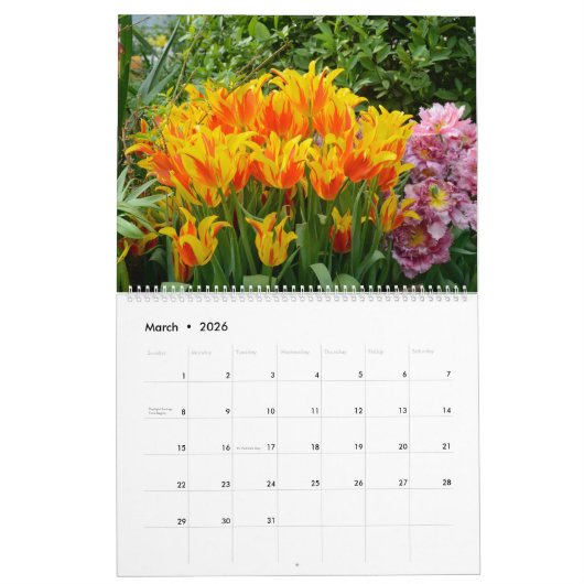 12 Monate Schöne Tulips Kalender (Mär 2026)