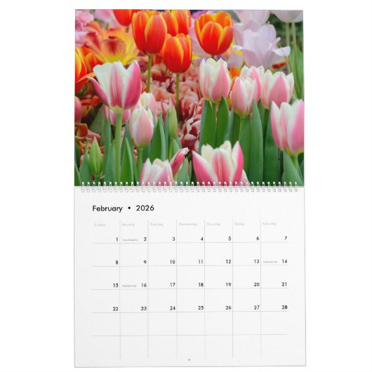 12 Monate Schöne Tulips Kalender (Feb 2026)