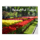 12 Monate Schöne Tulips Kalender (Titelbild)