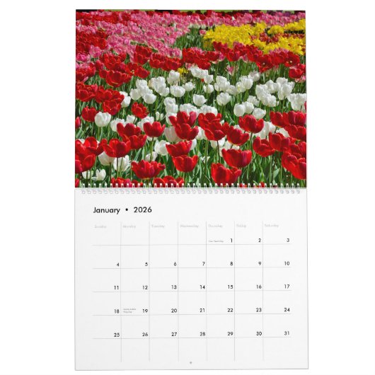 12 Monate Schöne Tulips Kalender (Jan 2026)