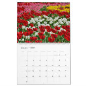 12 Monate Schöne Tulips Kalender (Jan 2027)