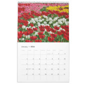 12 Monate Schöne Tulips Kalender (Jan 2026)