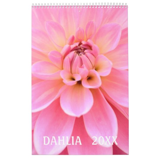 12 Monate Schöner Dahlia Foto Kalender (Titelbild)