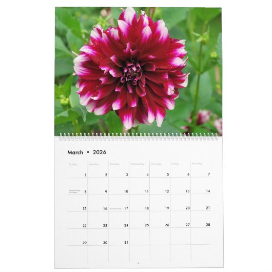 12 Monate Schöner Dahlia Foto Kalender (Mär 2026)