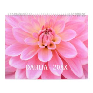 12 Monate Schöner Dahlia Foto Kalender