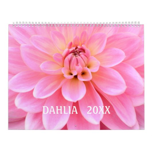 12 Monate Schöner Dahlia Foto Kalender (Titelbild)