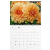 12 Monate Schöner Dahlia Foto Kalender (Jan 2026)
