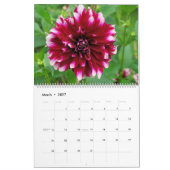 12 Monate Schöner Dahlia Foto Kalender (Mär 2027)