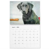 12 Monate Schwarzes Labor Hunde Haustiere Wasserfa Kalender (Mär 2026)