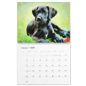 12 Monate Schwarzes Labor Hunde Haustiere Wasserfa Kalender (Jan 2027)