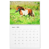 12 Monate Shetland Ponies Watercolor Malerei Kalender (Mär 2026)