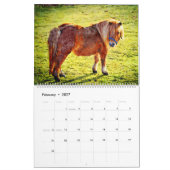 12 Monate Shetland Ponies Watercolor Malerei Kalender (Feb 2027)