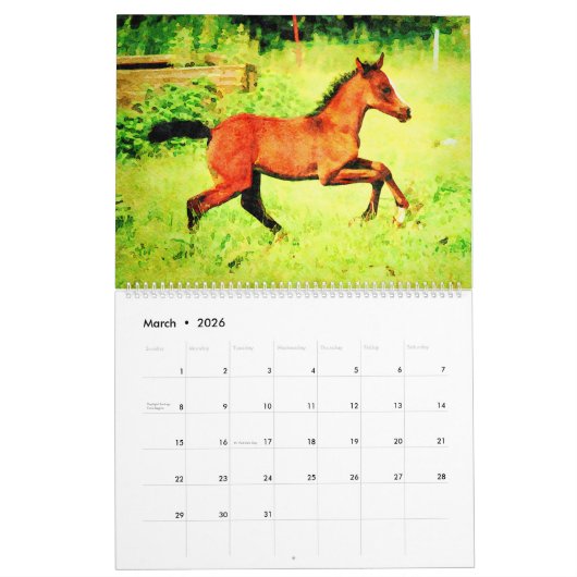 12 Monate Spirituosen Arabian Pferde Aquarellgesch Kalender (Mär 2026)