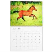 12 Monate Spirituosen Arabian Pferde Aquarellgesch Kalender (Mär 2027)