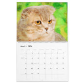 12 Monate Sweet Scottish Fold Cats Watercolor Gift Kalender (Mär 2026)