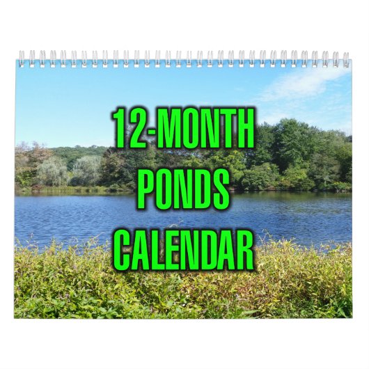 12-Monate-Teiche Kalender (Titelbild)