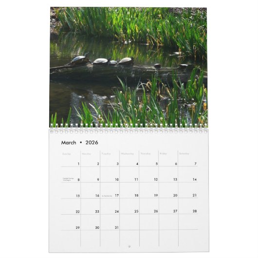 12 Monate Tiere und Wildtiere, 3. Ausgabe Kalender (Mär 2026)