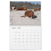 12 Monate Tiere und Wildtiere, 3. Ausgabe Kalender (Feb 2026)