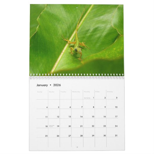 12 Monate Tiere und Wildtiere, 3. Ausgabe Kalender (Jan 2026)