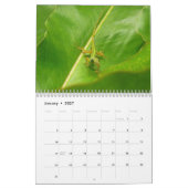 12 Monate Tiere und Wildtiere, 3. Ausgabe Kalender (Jan 2027)