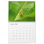 12 Monate Tierwelt und Wildtiere Edition 3 Kalender (Jan 2026)