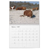 12 Monate Tierwelt und Wildtiere Edition 3 Kalender (Feb 2027)